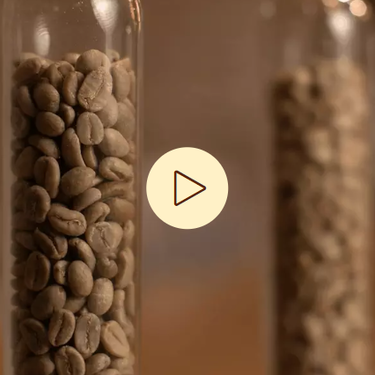 Zwei Glasröhrchen mit Kaffeebohnen, im Vordergrund ein Symbol zum Abspielen von Videos